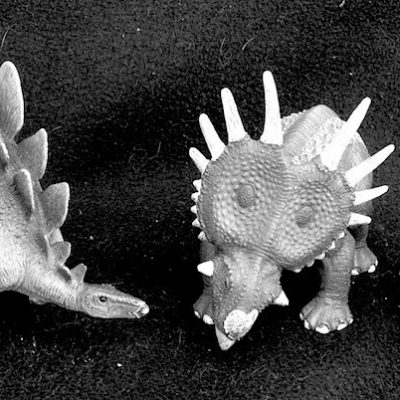 La collection dinosaures de notre fils