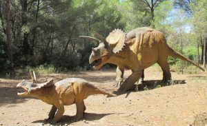 Musée – parc des dinosaures
