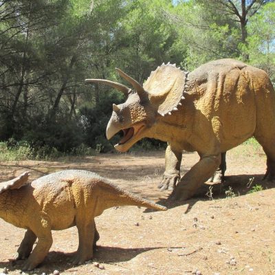 Musée – parc des dinosaures
