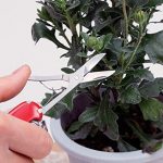 Victorinox 1.3713 Couteau Huntsman