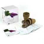 Kit 5 légumes extraordinaires