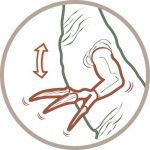 Schleich – 14529 – Figurine – Therizinosaurus