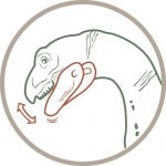 Schleich – 14529 – Figurine – Therizinosaurus