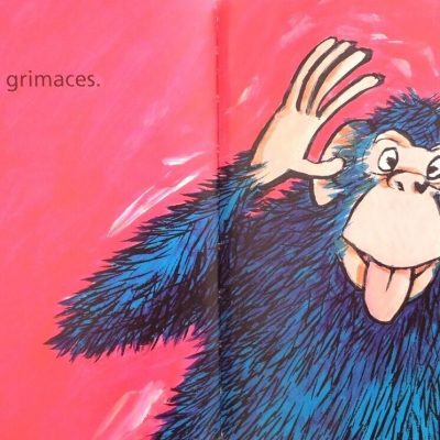 Qui dort ici ? Moi pas, moi aussi !