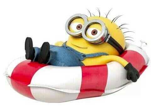 Minion allongé