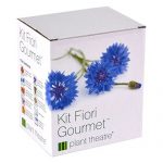 Kit de Fleurs comestibles