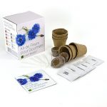 Kit de Fleurs comestibles