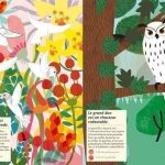 Les oiseaux du monde