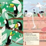 Les oiseaux du monde