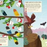Les oiseaux du monde