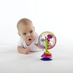 Hochet Roue des Merveilles