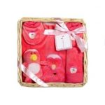 Corbeille naissance Pingouin