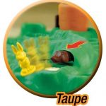 Jeu de Société Croque-Carotte