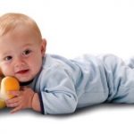 Mon Abeille à  Merveilles