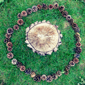 Land art cercles