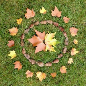 Land art cercles de feuilles