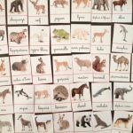cartes de nomenclature animaux