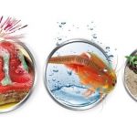 Triops et la Terre des Dinosaures