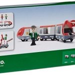 Train de Voyageurs Brio