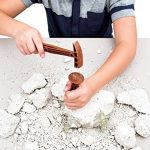 Clementoni – Science & Jeu – Archéo Ludic – T Rex et Tricératops – Jeu Scientifique – Dinosaures – Squelettes…