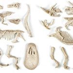 Clementoni – Science & Jeu – Archéo Ludic – T Rex et Tricératops – Jeu Scientifique – Dinosaures – Squelettes…