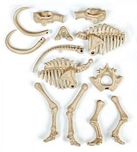 Clementoni Archéo Ludic - T-rex Fosforescente - Science & Jeu con