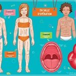 Mes premiers coffrets d&rsquo;apprentissage – Mon corps humain à reconstituer (Nouvelle édition 2016)