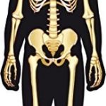 Mes premiers coffrets d&rsquo;apprentissage – Mon corps humain à reconstituer (Nouvelle édition 2016)