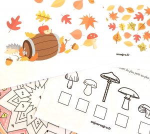 Votre cahier d’activités de l’automne à télécharger