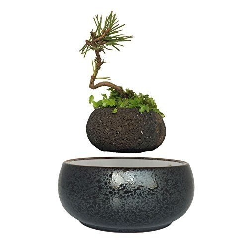 High-Tech Produit Air Suspension de bonsaï Pot de fleur Plante en pot soulever Cadeau