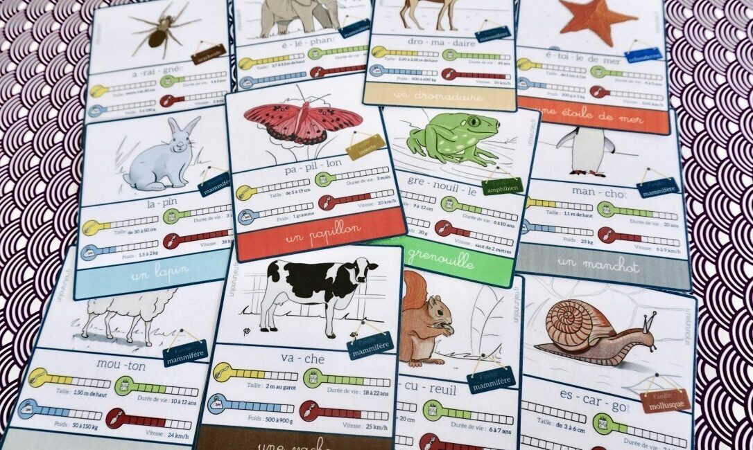 cartes de nomenclature à imprimer les animaux