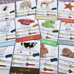 cartes de nomenclature à imprimer les animaux