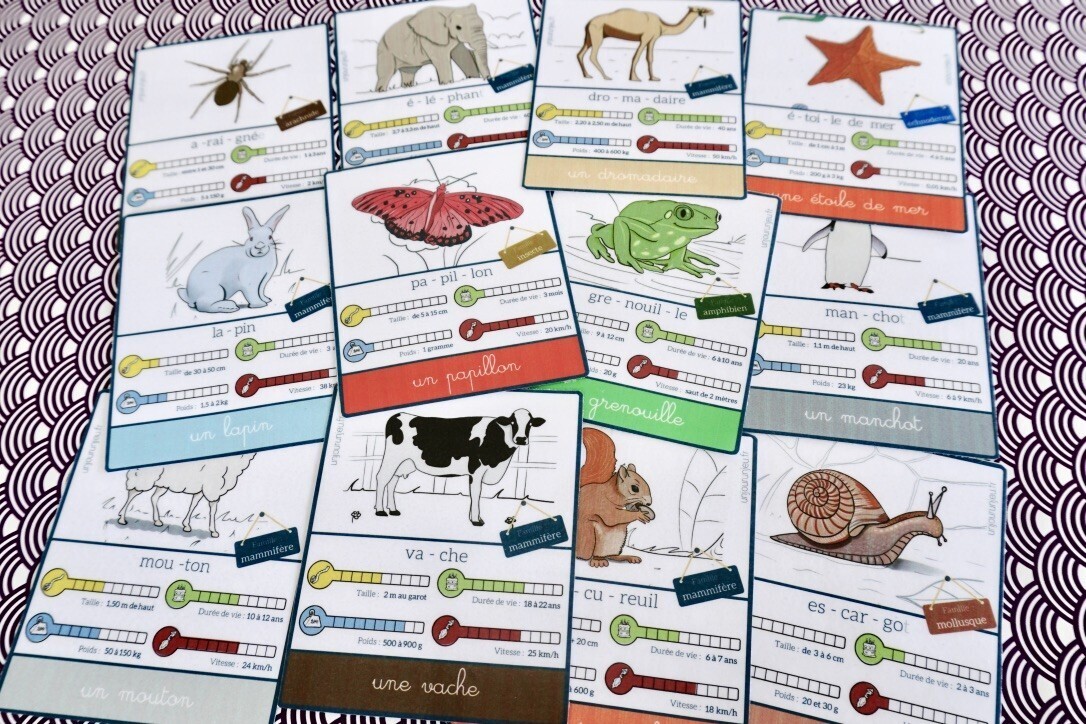 JEU de CARTES Enfant avec des animaux 