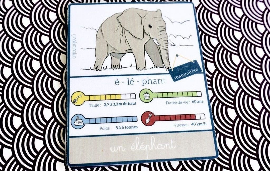 carte nomenclature éléphant