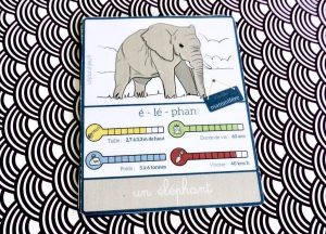 carte nomenclature éléphant