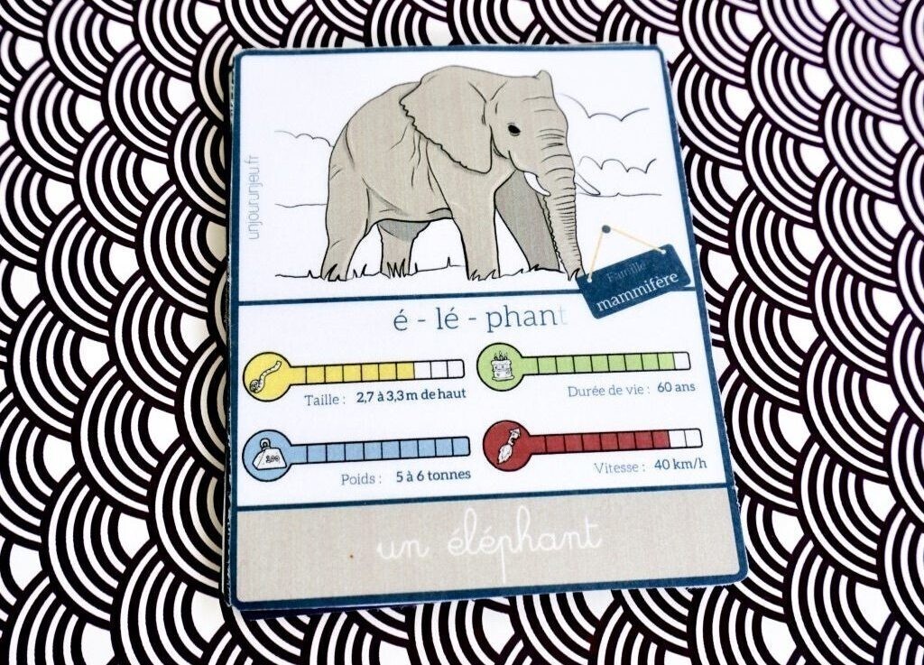carte nomenclature éléphant