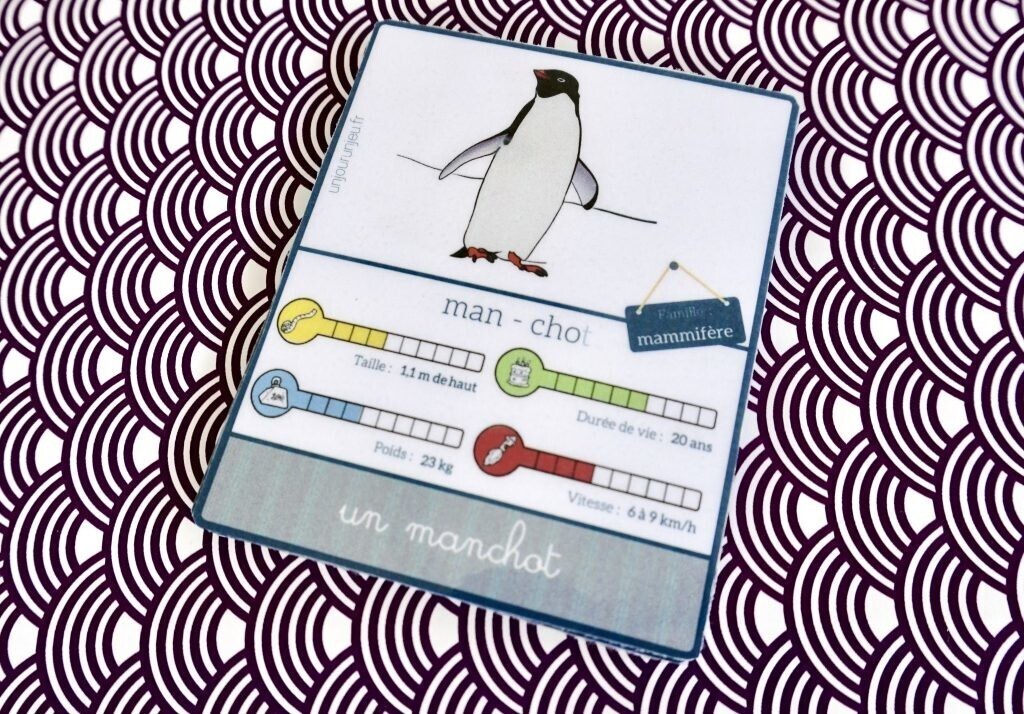 carte nomenclature pingouin