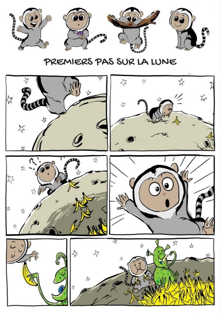 P&rsquo;tit ouistiti, la BD en couleurs