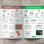 Les p&rsquo;tits Ouistitis et les pierres précieuses