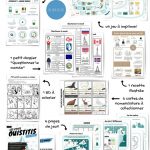 À retrouver dans les p'tits ouistitis