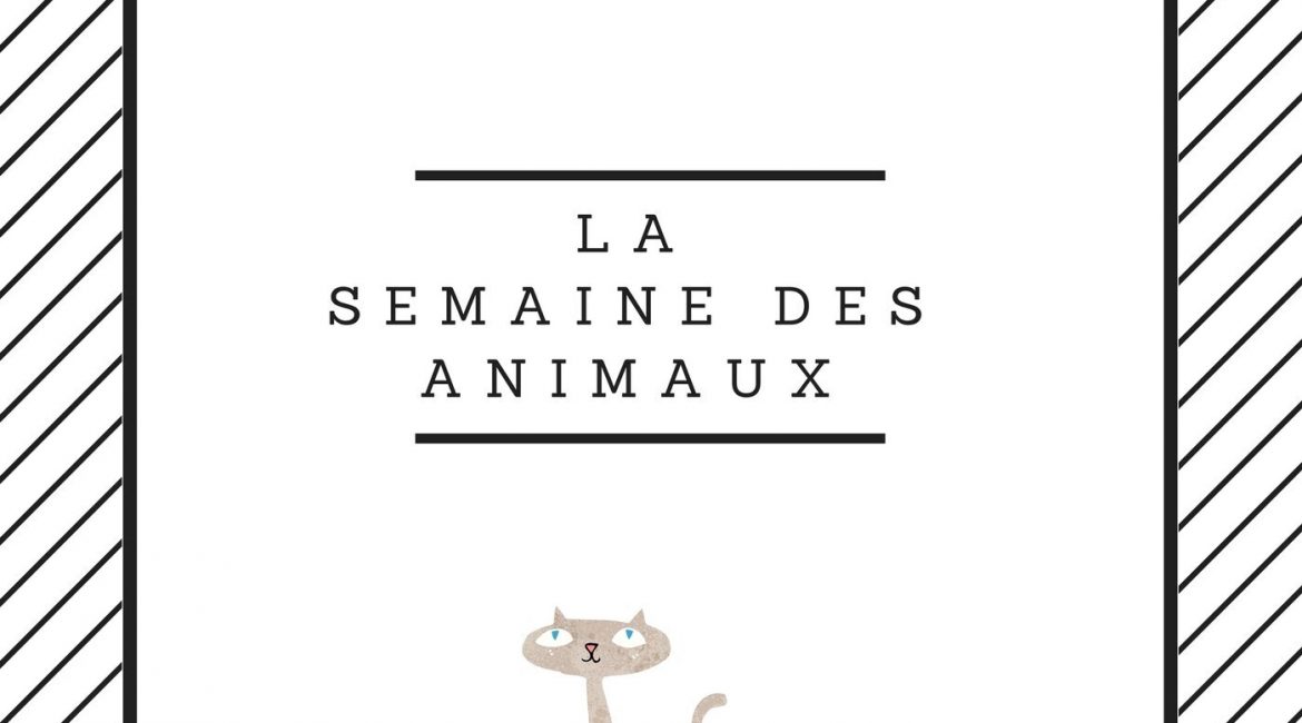 Comptine jour la semaine des animaux