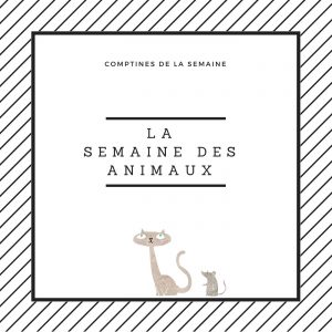 La semaine des animaux
