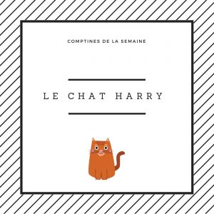 Le chat Harry