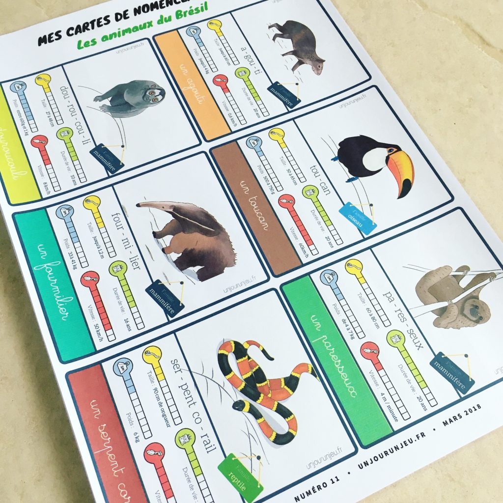 Les P&rsquo;tits Ouistitis et le Brésil