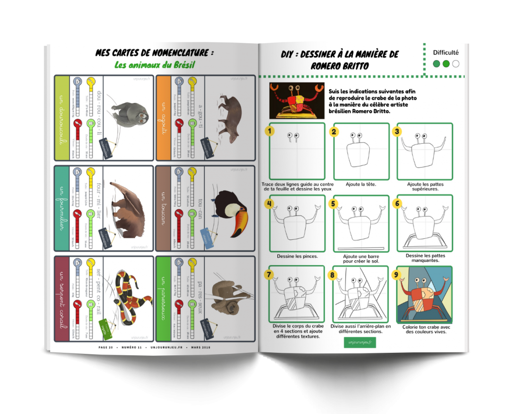 Les P&rsquo;tits Ouistitis et le Brésil