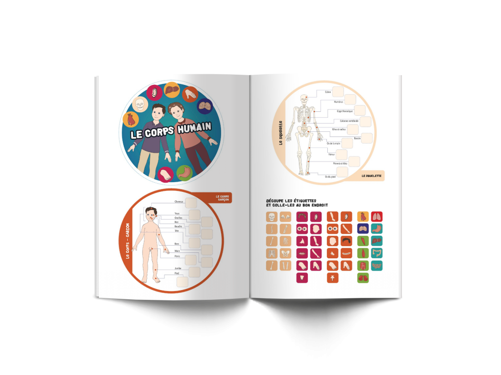 Les P'tits ouistitis et le corps humain