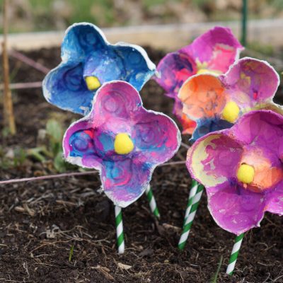 Un bouquet de fleurs à partir d&rsquo;une boite d’œufs