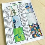 Les P&rsquo;tits Ouistitis et le Brésil