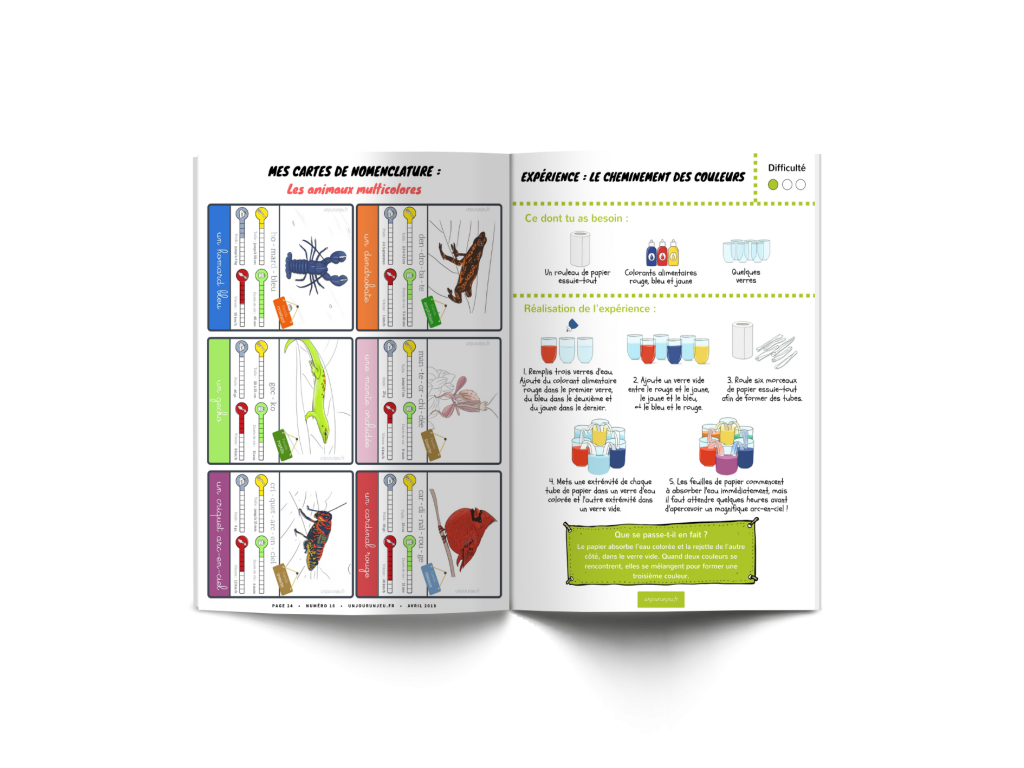 Les P'tits Ouistitis - Arc-en-ciel - animaux et expérience
