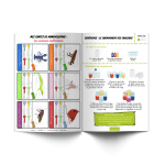 Les P'tits Ouistitis - Arc-en-ciel - animaux et expérience